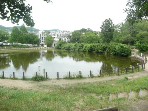 【公園】樋之池公園まで1072ｍ