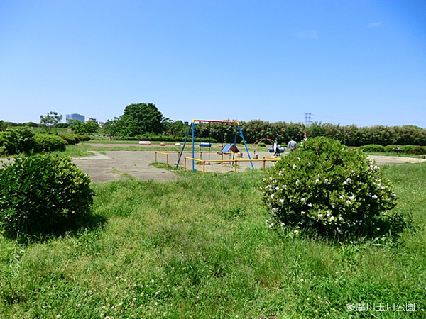 【公園】多摩川玉川公園まで1992ｍ