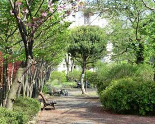 【公園】芳窪街かど公園まで325ｍ