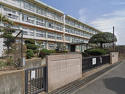 【小学校】平塚市立松延小学校まで484ｍ