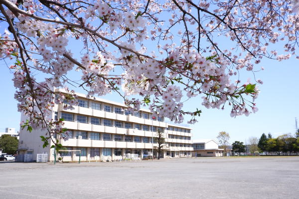 【小学校】市立中新田小学校まで1099ｍ