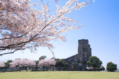 【公園】根岸森林公園まで942ｍ