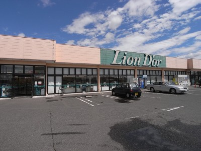 【スーパー】リオン・ドール高根沢店まで1686ｍ