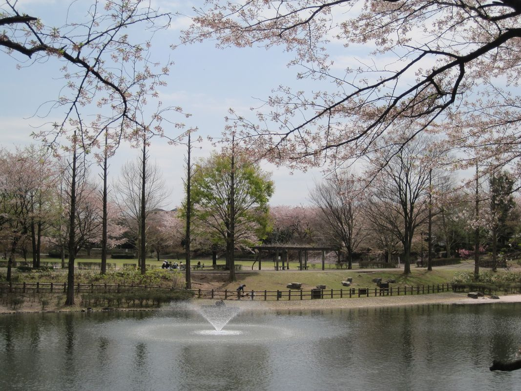 【公園】御伊勢塚公園まで1397ｍ