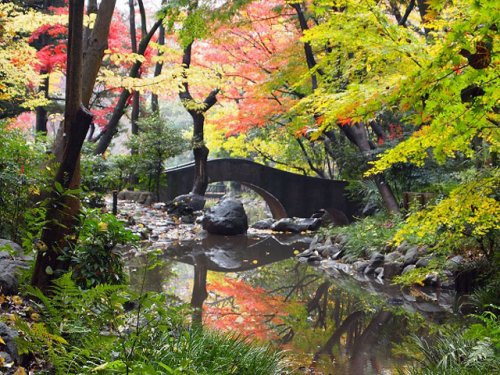 【公園】有栖川宮記念公園まで338ｍ