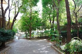 【公園】薬園坂緑地まで209ｍ