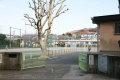 【小学校】横須賀市立大楠小学校まで105ｍ