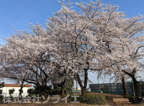 【公園】滝ノ下公園まで913ｍ