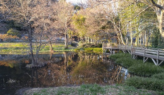 【公園】仙波河岸史跡公園まで806ｍ
