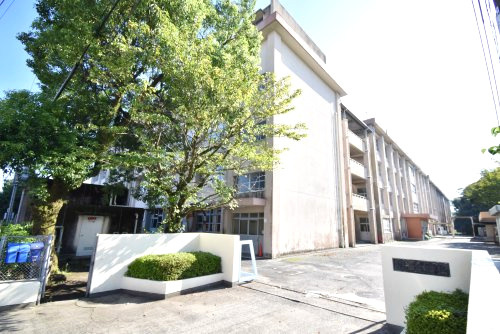 【中学校】鹿児島市立桜ケ丘中学校まで182ｍ