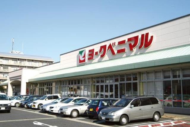 【スーパー】（株）ヨークベニマル　細谷店まで856ｍ