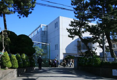 【小学校】茅ヶ崎市立　松浪小学校まで1115ｍ