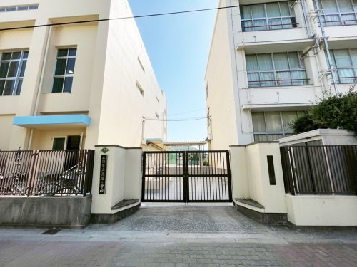 【小学校】大阪市立島屋小学校まで527ｍ