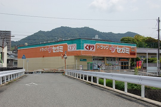 【ドラッグストア】ドラッグセガミ皆賀店まで386ｍ