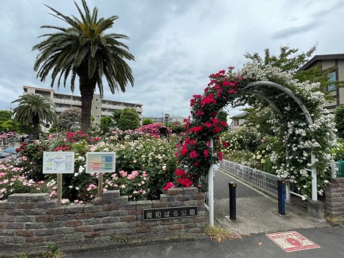 【公園】青和ばら公園まで320ｍ