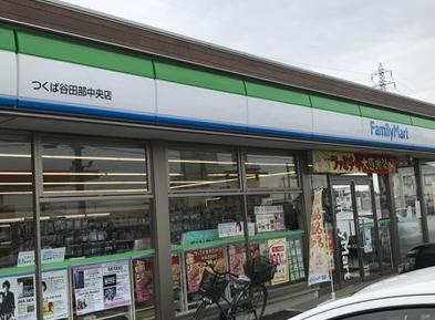 【コンビニエンスストア】ファミリーマート　つくば谷田部中央店まで867ｍ