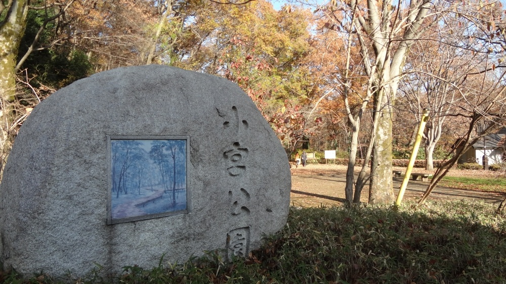 【公園】小宮公園まで1320ｍ
