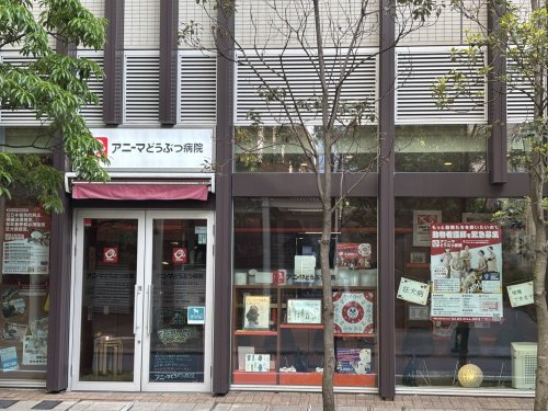 【動物病院】アニーマどうぶつ病院まで301ｍ