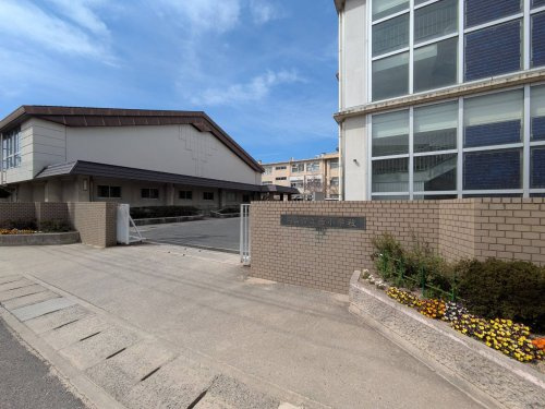 【小学校】岡山市立西小学校まで841ｍ
