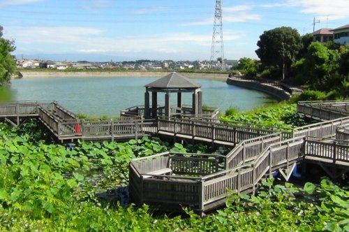 【公園】長池オアシス公園まで200ｍ