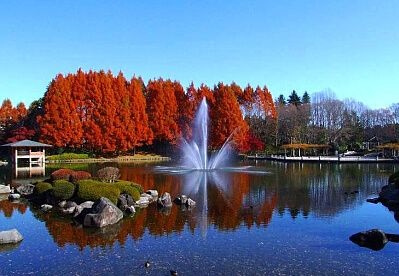 【公園】中央公園まで679ｍ