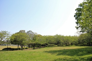 【公園】北竜台公園まで100ｍ