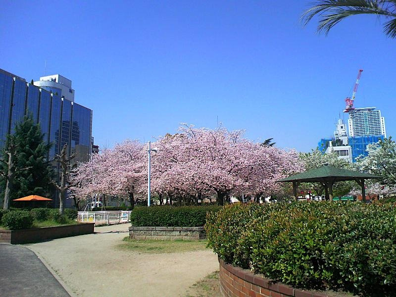【公園】中大江公園まで1117ｍ