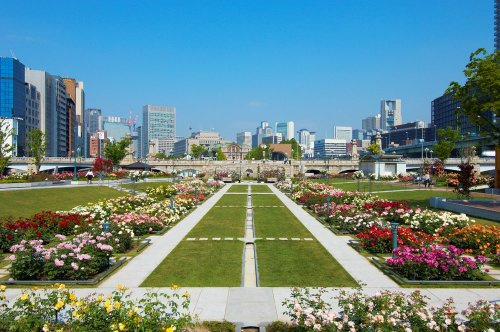 【公園】中之島公園まで1125ｍ