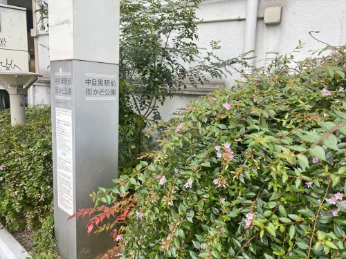 【公園】中目黒駅前街かど公園まで456ｍ