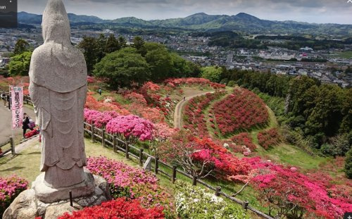 【公園】笠間つつじ公園まで2199ｍ