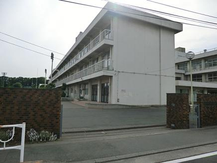 【小学校】横山小学校まで379ｍ