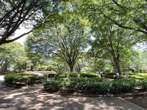 【公園】北習志野近隣公園まで325ｍ