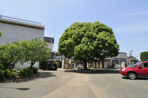 【小学校】嵐山町立菅谷小学校まで1556ｍ