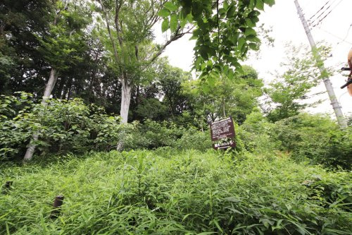 【公園】金山森の広場まで723ｍ