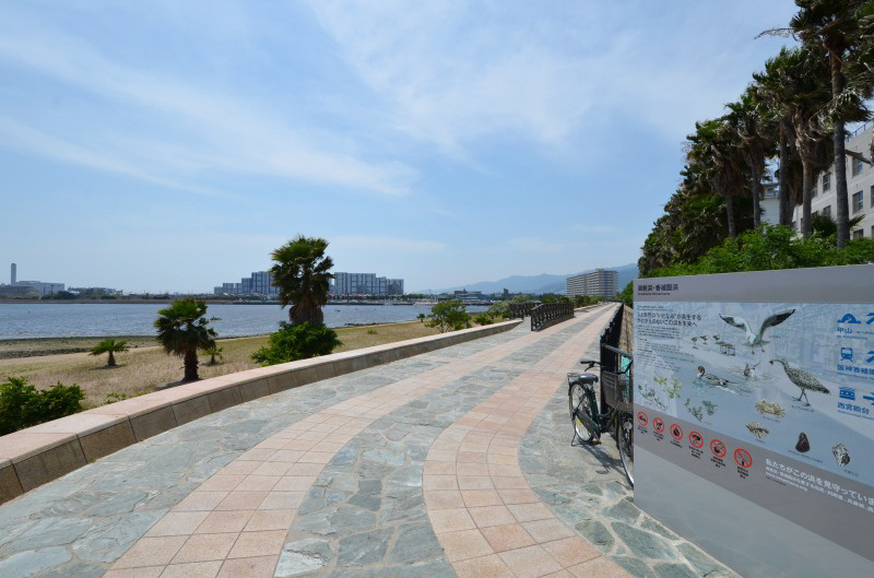 【公園】御前浜公園まで55ｍ