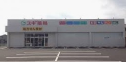 【ドラッグストア】スギ薬局　姫路下手野店まで816ｍ