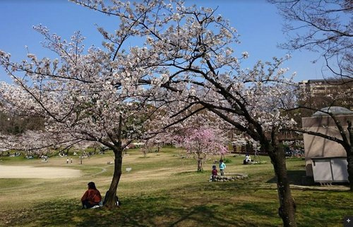 【公園】楠葉東公園まで646ｍ