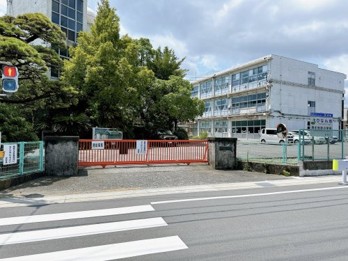 【小学校】静岡市立清水袖師小学校まで1341ｍ