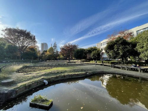 【公園】練馬区立秋の陽公園まで1254ｍ