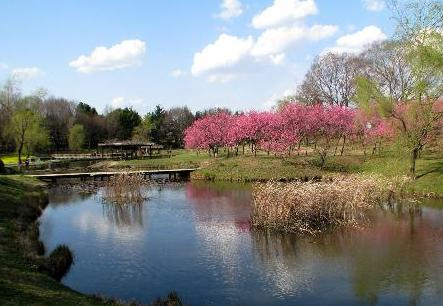 【公園】古河公方公園(古河総合公園)まで1813ｍ