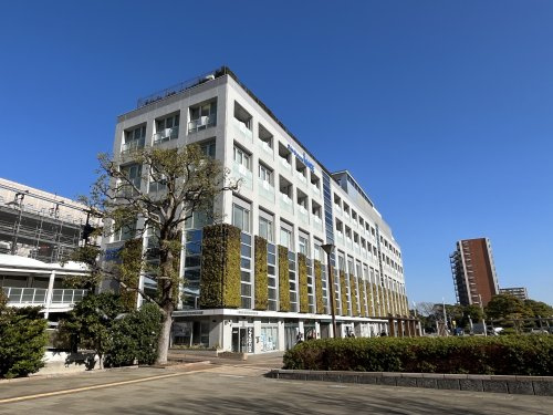 【市役所・区役所】新浦安駅前プラザマーレまで571ｍ