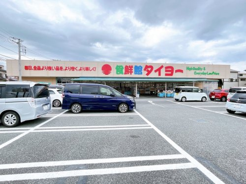 【スーパー】食鮮館タイヨー　荒田島店まで573ｍ