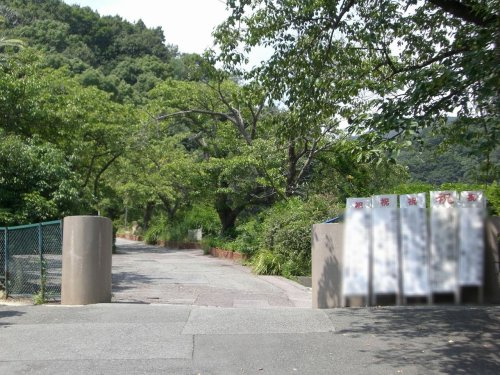 【中学校】芦屋市立山手中学校まで1362ｍ