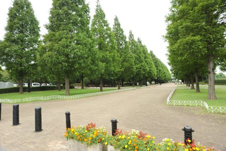【公園】そうか公園まで450ｍ
