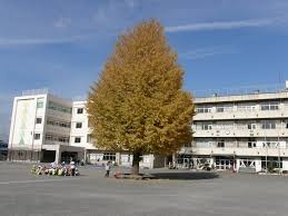 【小学校】海老名市立海老名小学校まで1037ｍ