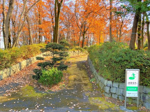 【公園】狭山市/狭山台中央公園まで640ｍ