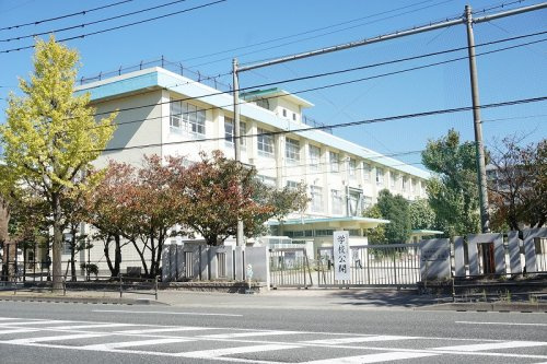 【小学校】福岡市立那珂小学校まで269ｍ