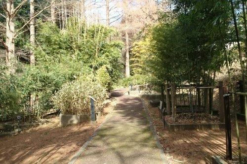 【その他】横浜市こども植物園まで1367ｍ