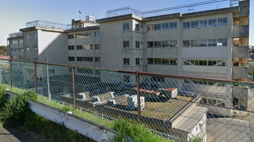 【小学校】松戸市立殿平賀小学校まで482ｍ