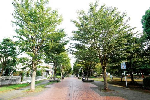 【公園】千葉市　おゆみ野なつのみち公園まで511ｍ